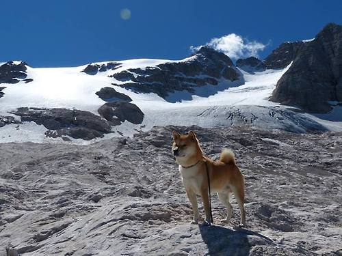 _网球联盟推新赛制,激发赛事观赏性和竞争性_,网球职业联盟