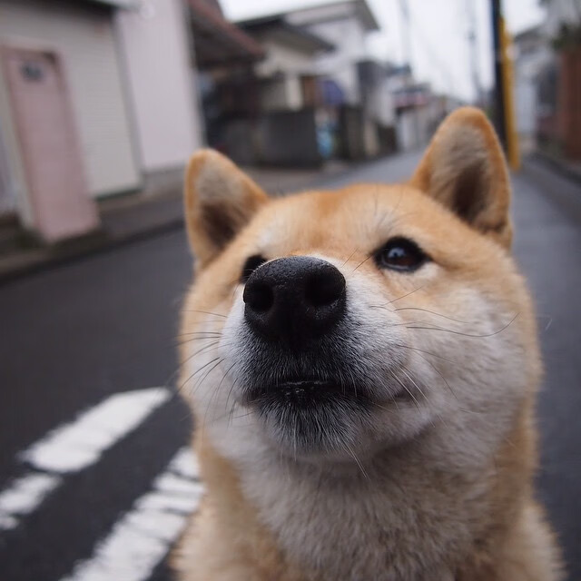 _网球运动公益行：助力偏远地区运动发展_，国家对网球的政策扶持