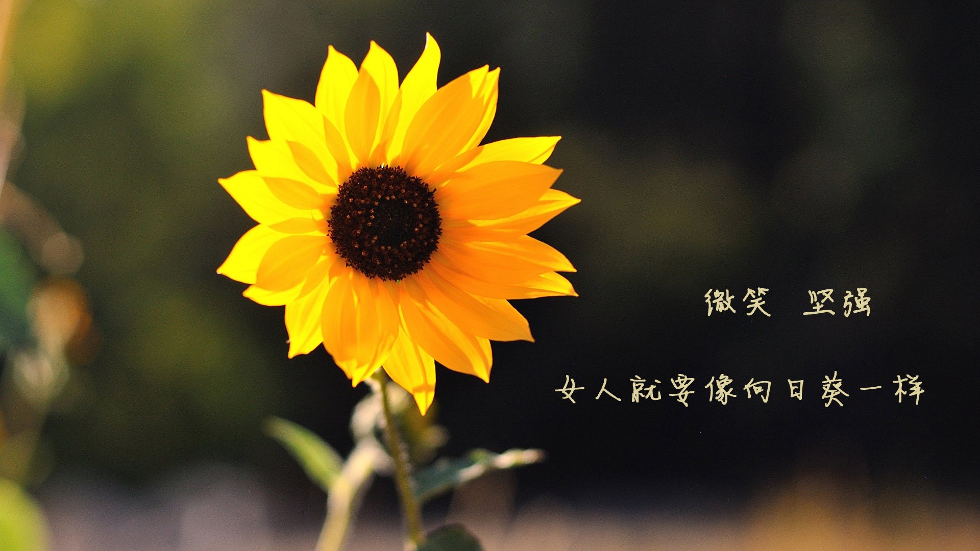 中国体育界携手推动篮球运动“走出去”,拓展国际市场,中国篮球体制建设的发展