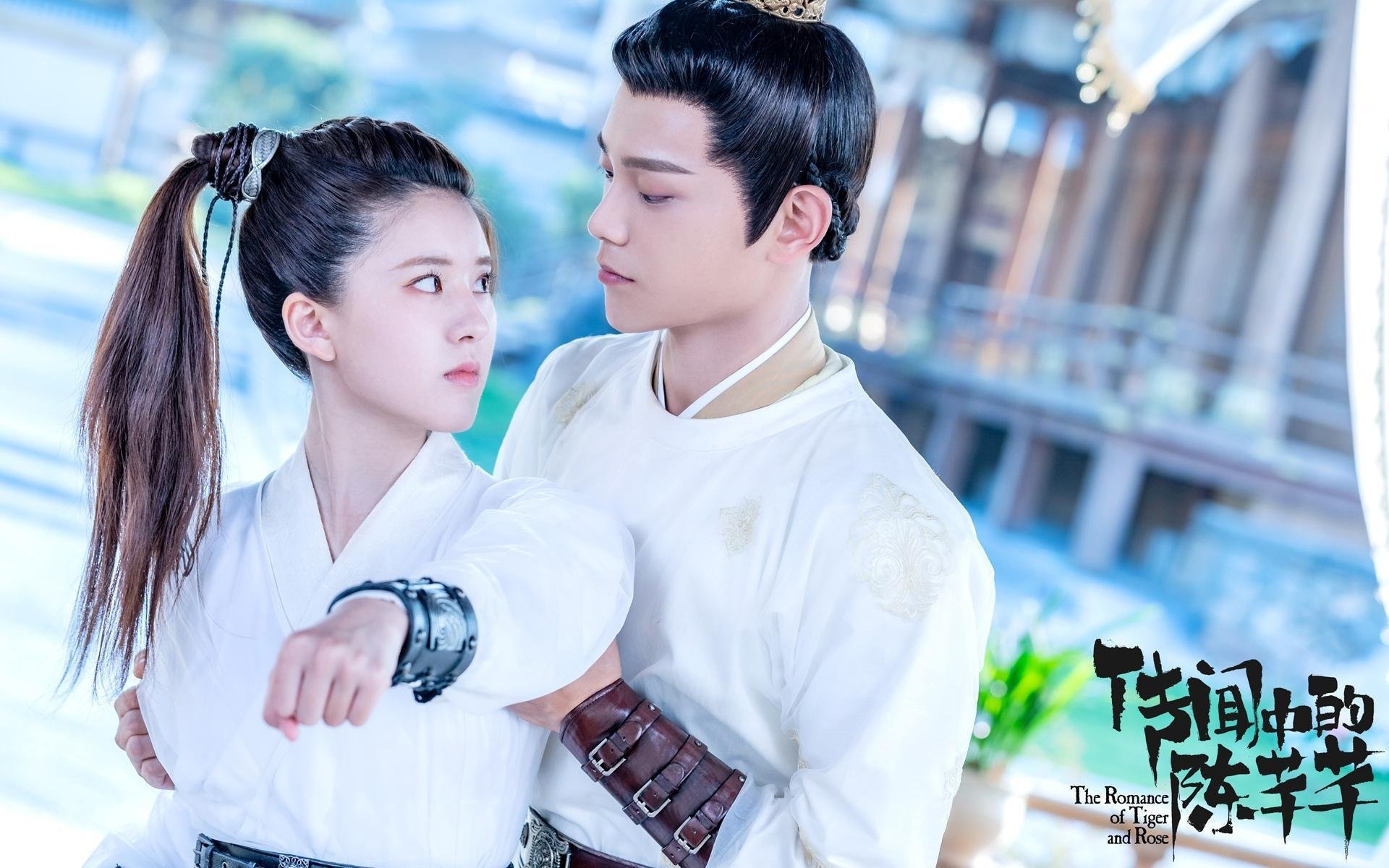 哈兰德连续20场破门,英超火力王再续神迹,哈兰德德甲