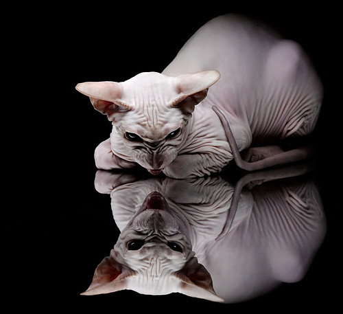 乐鱼体育平台app下载-意甲豪门公开训练，期待新赛季开局，意甲七大豪门俱乐部