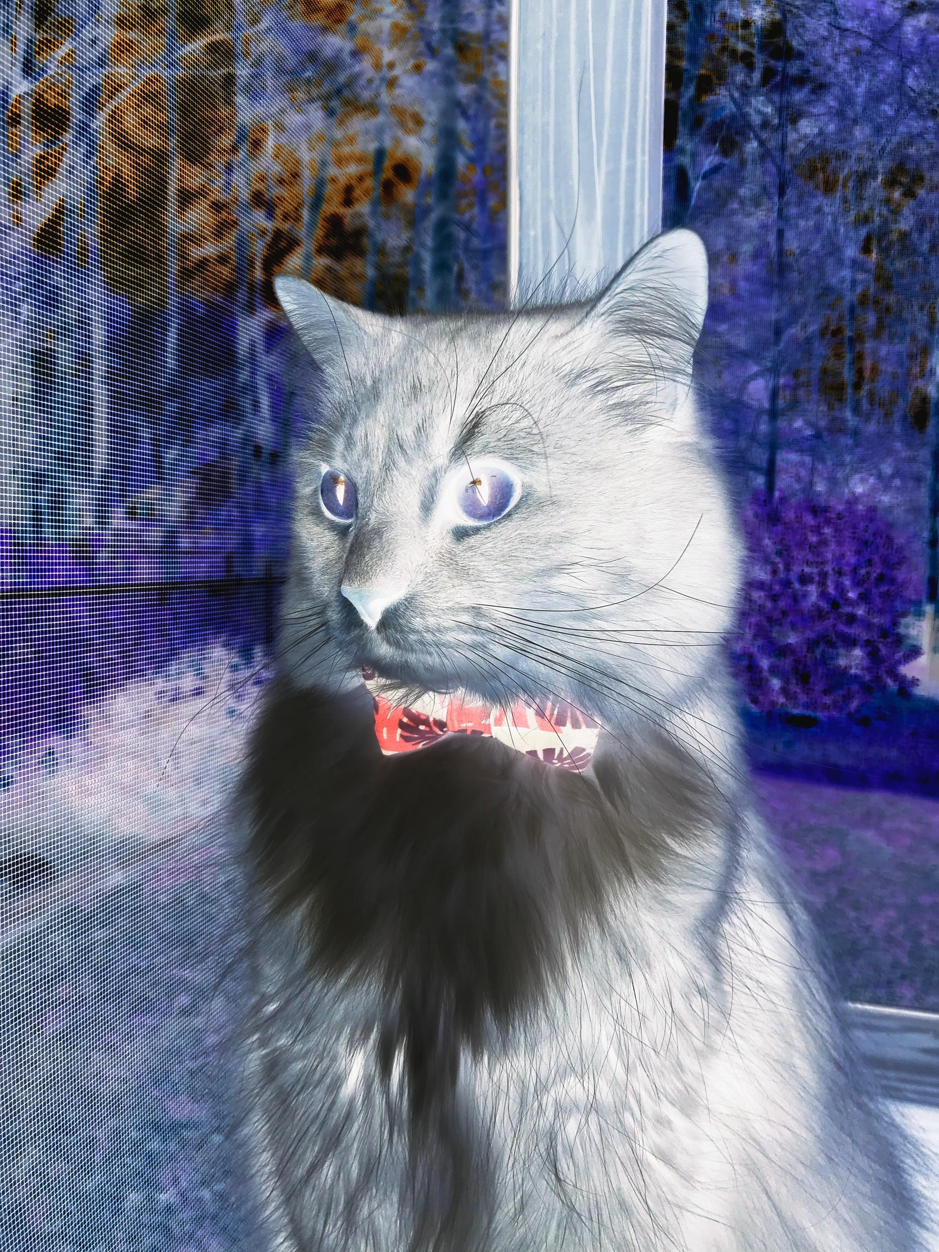 青少年“梦想奋斗”系列公益篮球赛在南京盛大举行,激励青年成长