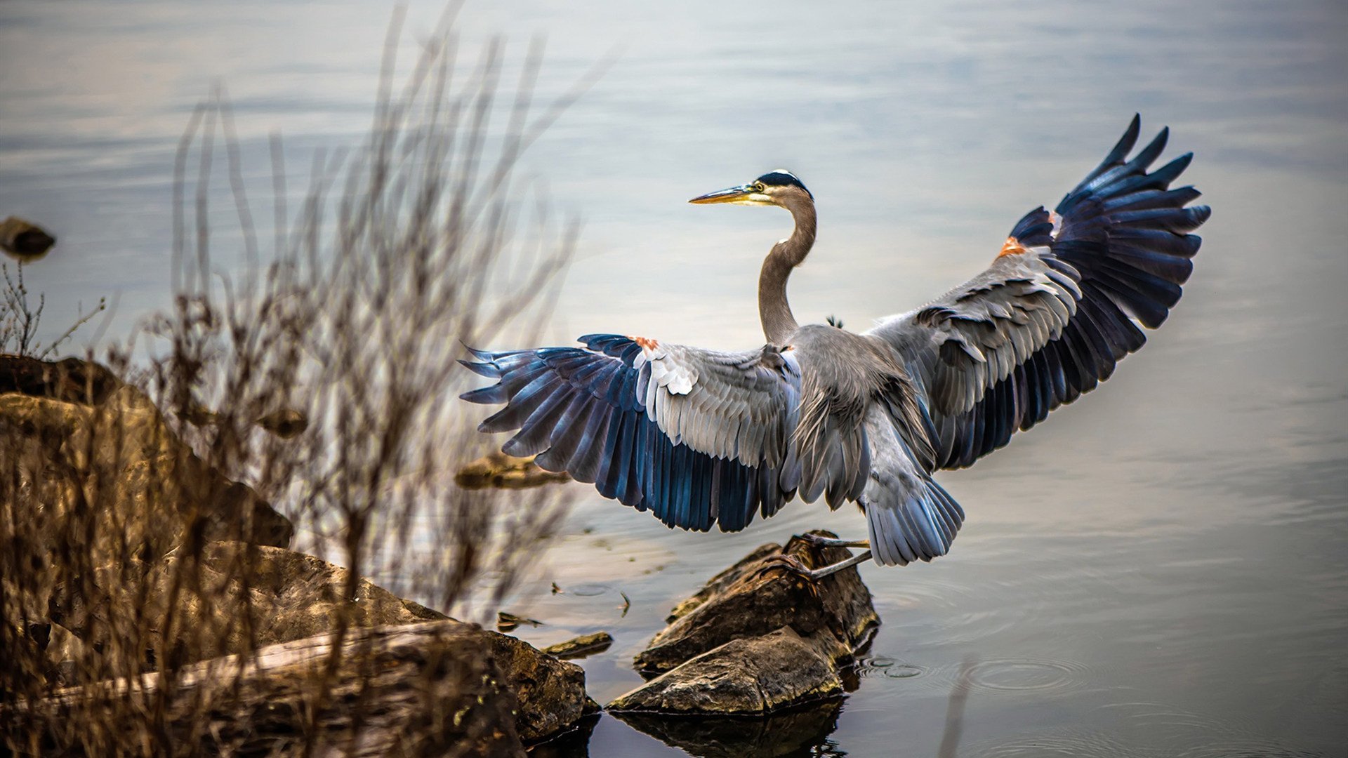 KPL技术委员会宣布引进国际电竞教学案例，kpl电子竞技