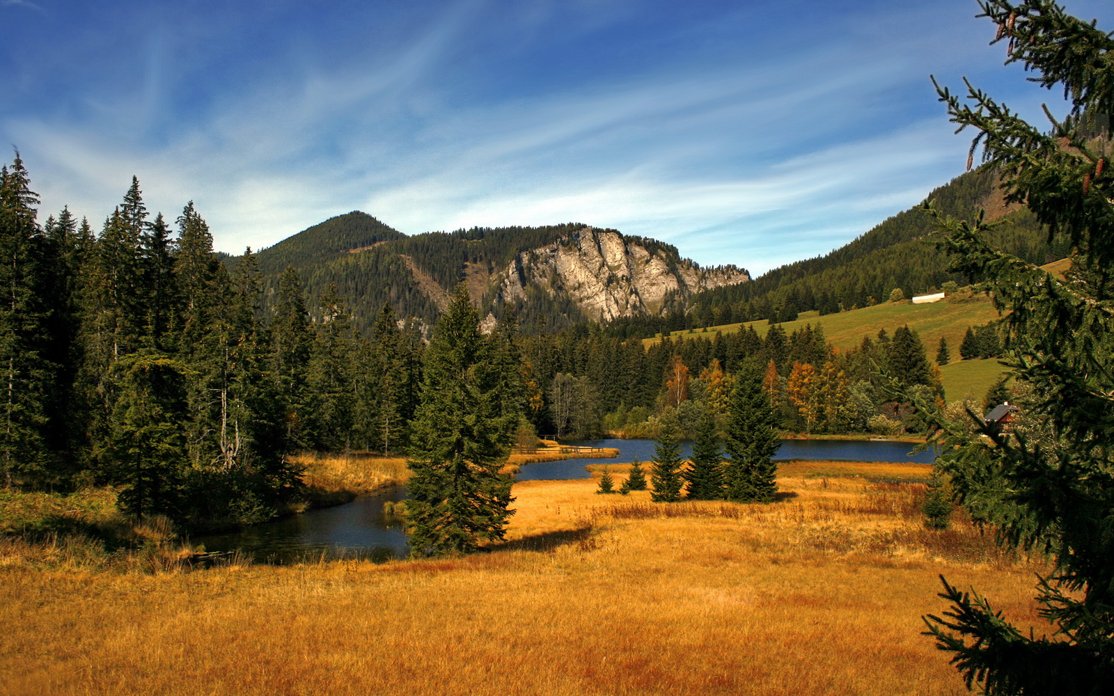 KPL教练战术调整成效显著,kpl的教练都是啥来历