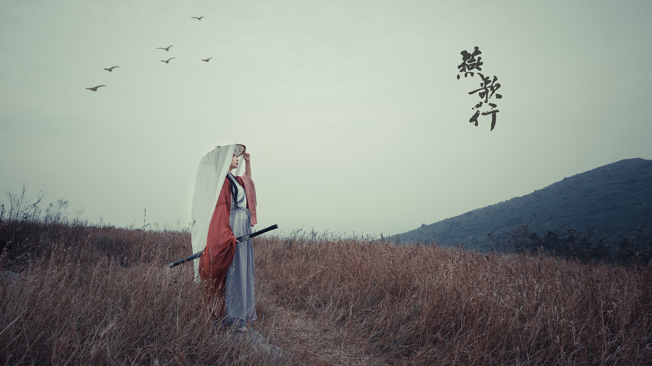 公牛队年轻阵容磨合成效显著，公牛队的阵容