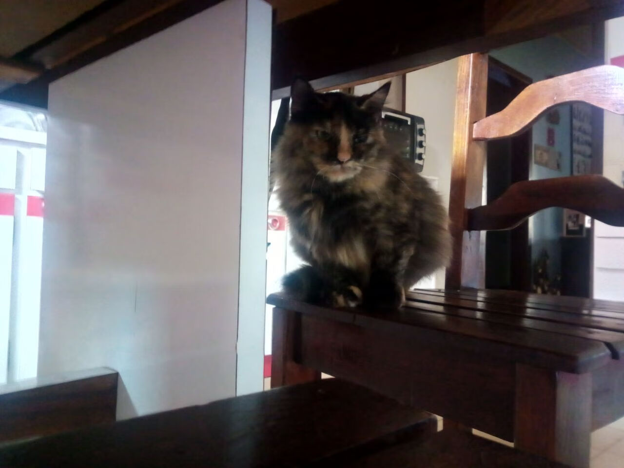 天津泰达客场不敌上海申花,中超前景不明,天津泰达足球中超赛程