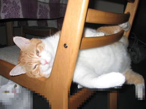 弗拉门戈赛季目标明确，弗拉门戈阵容2020