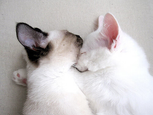 曼城大胜南安普顿，英超卫冕冠军实力依然强劲，英超曼城vs南安普顿