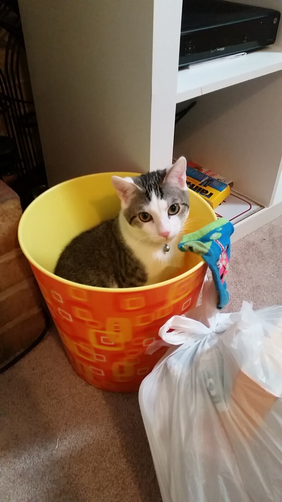 武汉卓尔客场逆转,实现惊险胜利,武汉卓尔2021年主场