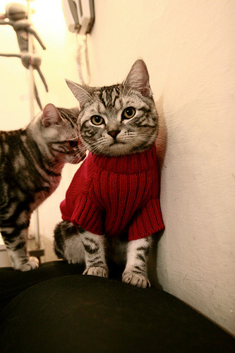 菲律宾代表团副团长凯伦·卡巴列罗点赞亚运村设施与中餐。,菲律宾卡拉巴松在哪