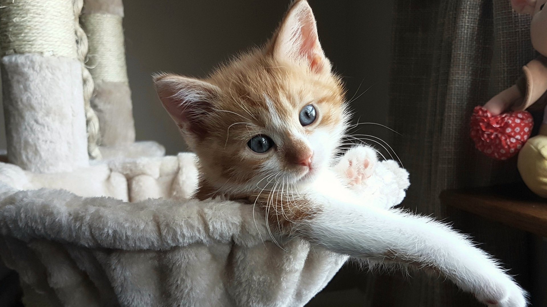 乐鱼电竞在线平台-NBA球队战术体系创新与实践探讨，nba战术分析