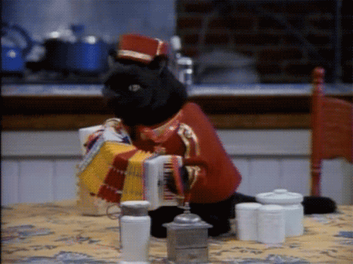 运动员职业发展支持,运动员职业发展支持方案