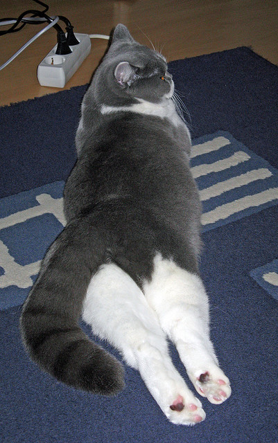 纵深跑位打通禁区切入路线，纵深线是什么意思