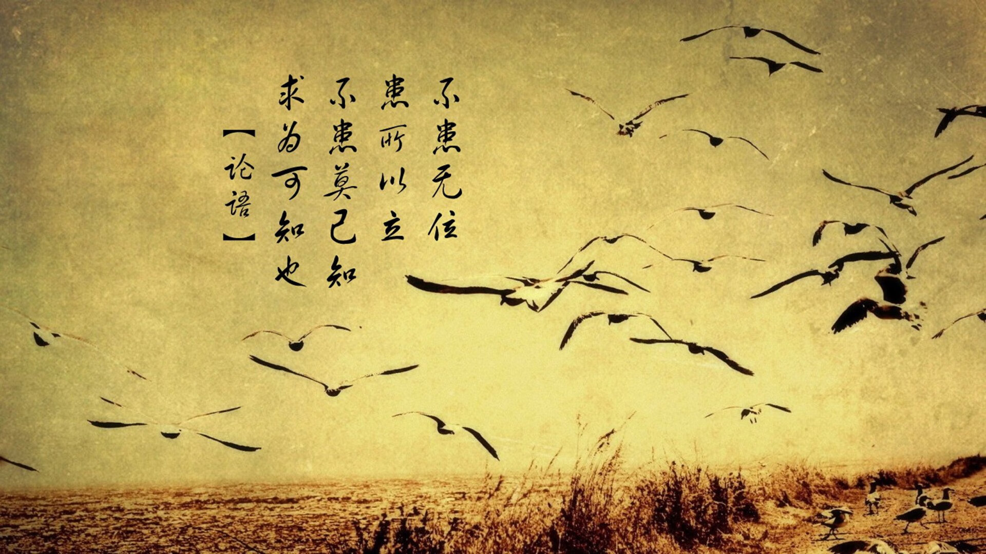 乐鱼体育登录-女子排球主力阵容调整优化战术组合，女子排球队员组成