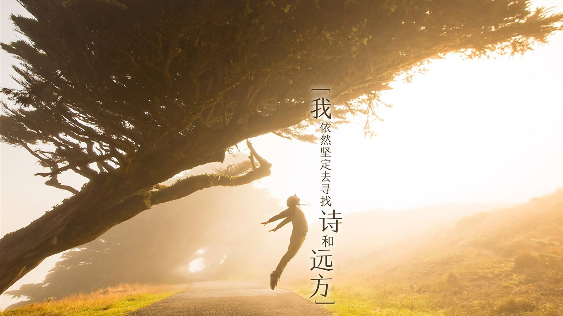 乐鱼电竞在线平台登录入口-高校篮球联赛增加赛事直播覆盖扩大影响力，高校篮球联赛策划